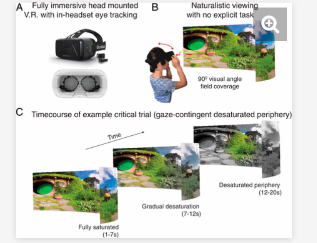 The limits of color awareness during active, real-world vision