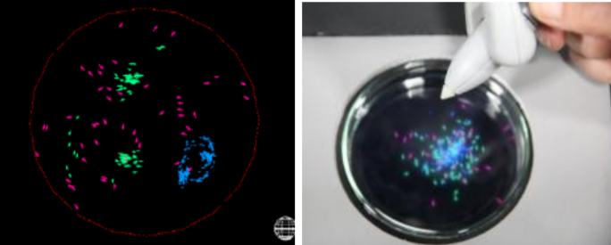 Tactile microcosm of ALife: interaction with artificial life by aerial mixed reality display