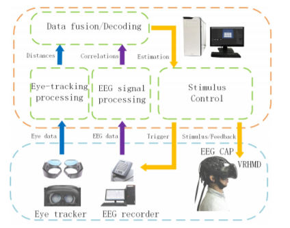 Combining Brain-Computer Interface and Eye Tracking for High-Speed Text Entry in Virtual Reality