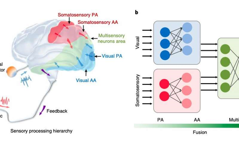 Gesture recognition using a bioinspired learning architecture that integrates visual data with somatosensory data from stretchable sensors