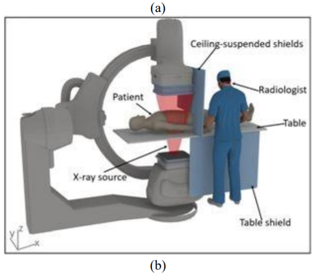Conceptual Design And Preliminary Results of a VR-based Radiation Safety Training System for Interventional Radiologists