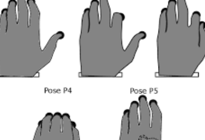 Proprioceptive Localization of the Fingers: Coarse, Biased, and Context-Sensitive