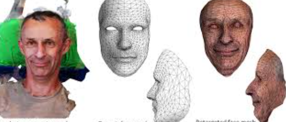 Automatic Generation and Stylization of 3D Facial Rigs