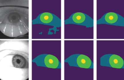 Semantic Segmentation of the Eye With a Lightweight Deep Network and Shape Correction