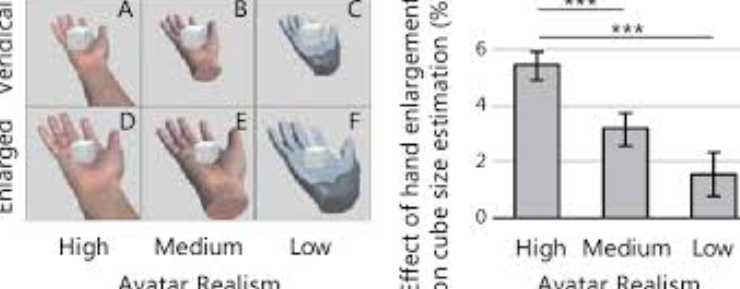 Object Size Perception in Immersive Virtual Reality: Avatar Realism Affects the Way We Perceive