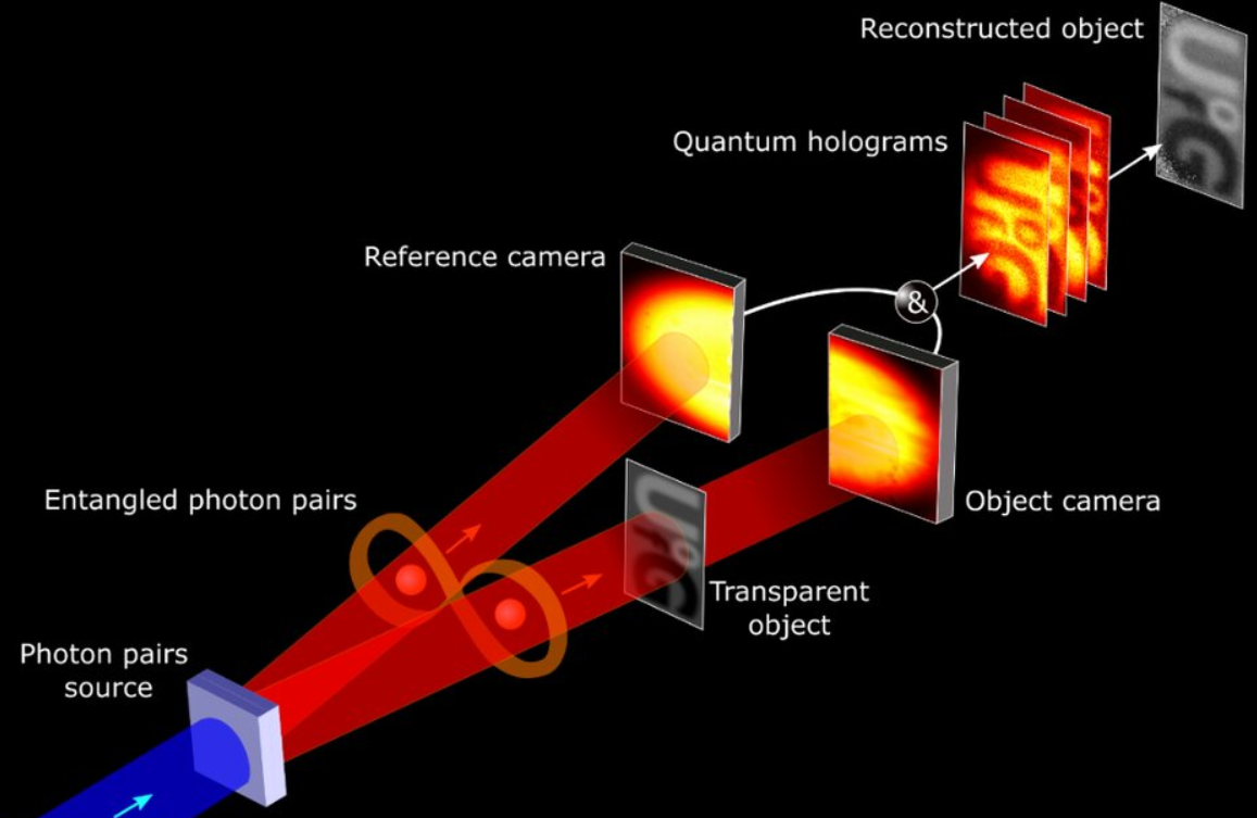 Polarization entanglement-enabled quantum holography