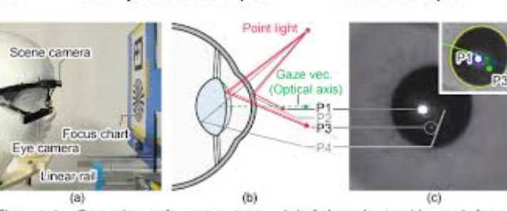 Monocular focus estimation method for a freely-orienting eye using Purkinje-Sanson images