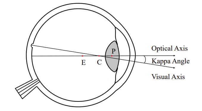 Slippage-robust Gaze Tracking for Near-eye Display