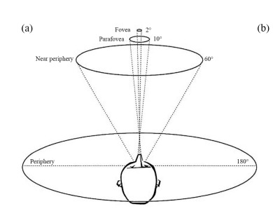 Foveated Rendering: a State-of-the-Art Survey