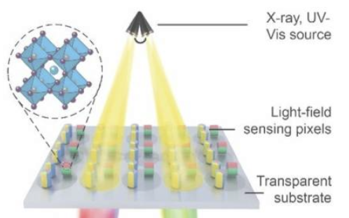 X-ray-to-visible light-field detection through pixelated colour conversion
