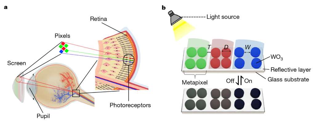 24fc45676c86d137b4572a8b5cfb744d-thumb-standard