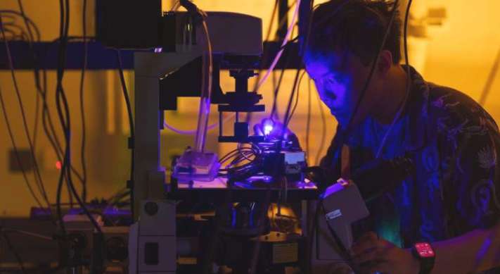 38fc4dcdcb260ee015fd623dfed2b4d1-thumb-standard